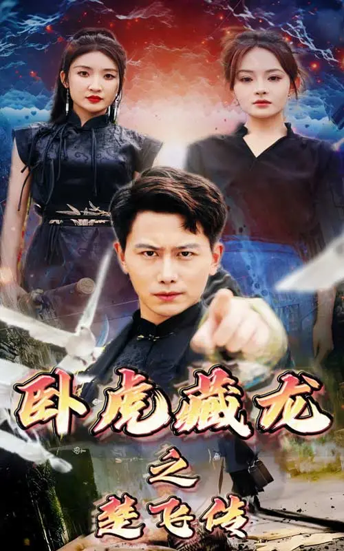 《卧虎藏龙之楚飞传》影评：再续武侠情缘，楚飞能否超越经典？