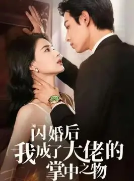 《闪婚后我成了大佬的掌中之物》：先婚后爱的甜蜜陷阱，霸道总裁的宠妻日常，甜到你尖叫！