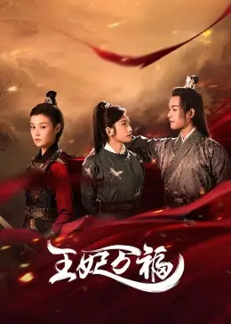 《王妃万福》：绝境中的权力游戏与王室情深，看古代女性如何逆风翻盘！