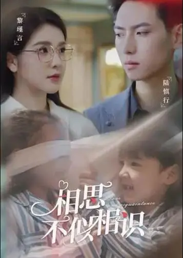 《相思不似相识》：一场跨越时空的浪漫邂逅，爱与记忆的唯美追寻！