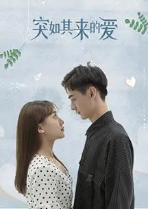 《突如其来的爱》：一场笑中带泪的古装喜剧，小人物的爱恨情仇，触动你心