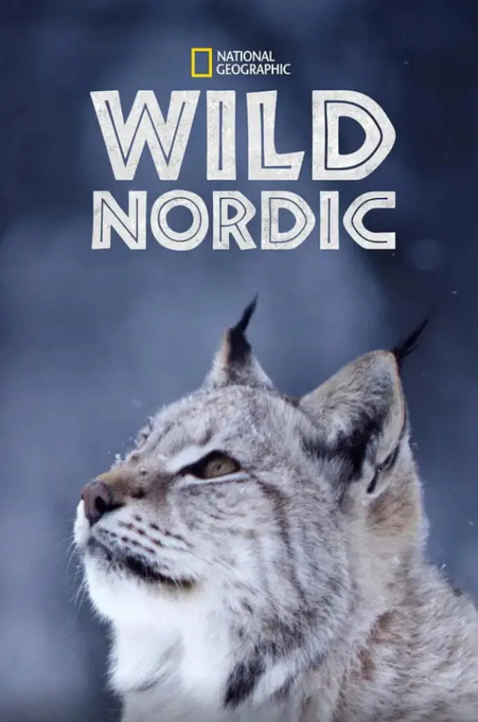 《且把爱意寄流光》：国产文艺温情叙事，时光里的爱恋与成长，致敬平凡人生